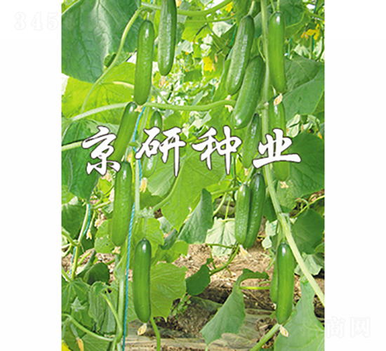 ��������7̖-�S�ϷN��-���зN�I