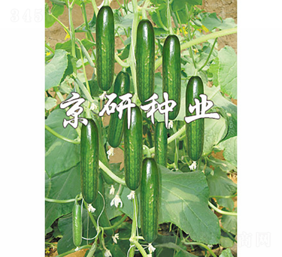 ��������4̖-�S�ϷN��-���зN�I