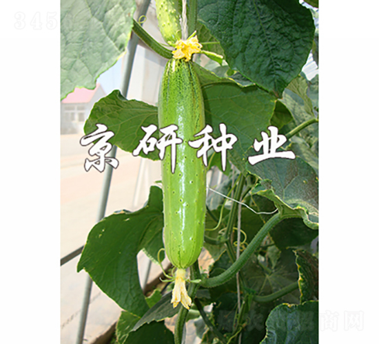 ���к���5̖-�S�ϷN��-���зN�I