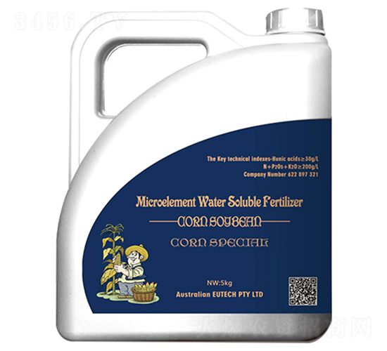 ���׌����A�Մ�-����-�Ϙ���