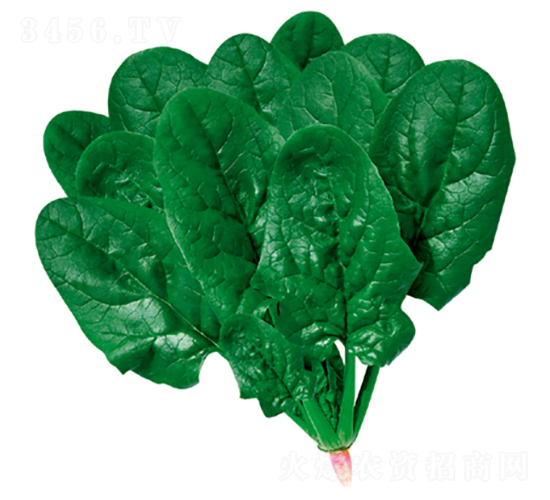 ����505-���˷N��-�����N�I(y��)