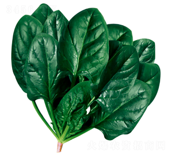 ����503-���˷N��-�����N�I