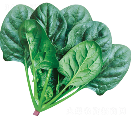 ����501-���˷N��-�����N�I