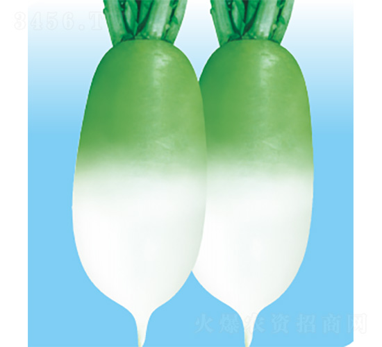 ��������-�}���N��-�����N�I