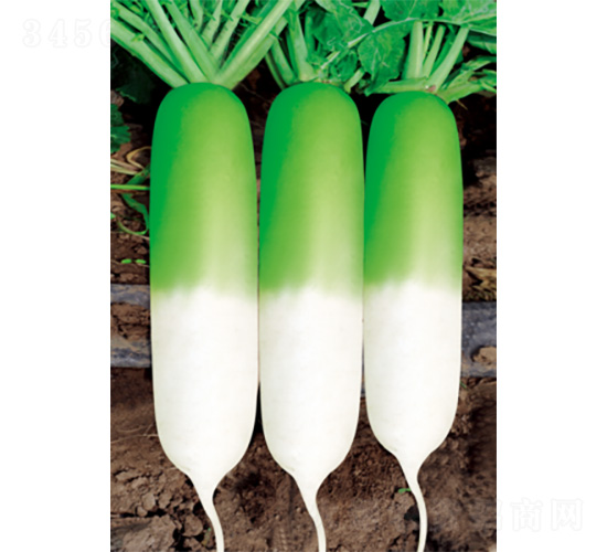 �������S-�}���N��-�����N�I