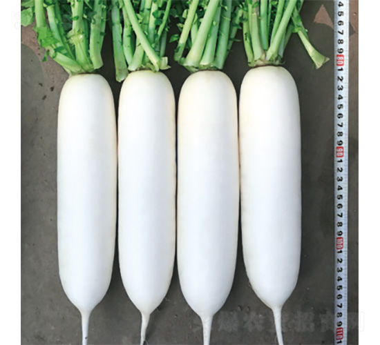 ��������-�}���N��-�����N�I