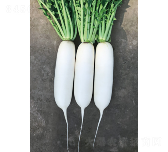 ��������-�}���N��-�����N�I