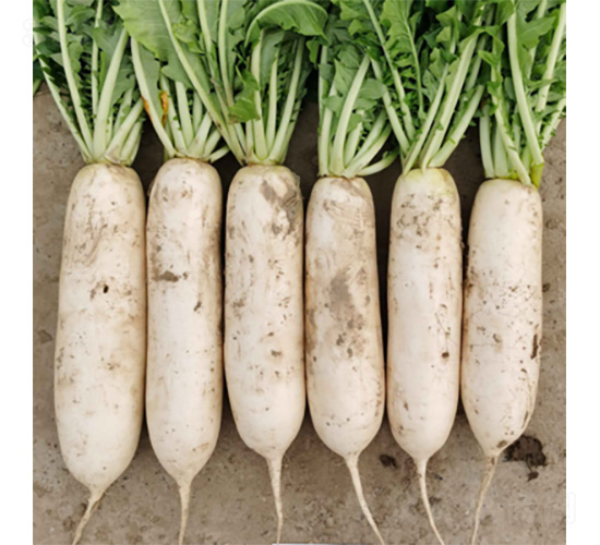 ��������-�}���N��-�����N�I