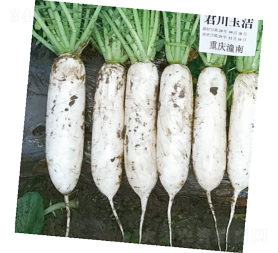 ������-�}���N��-�����N�I