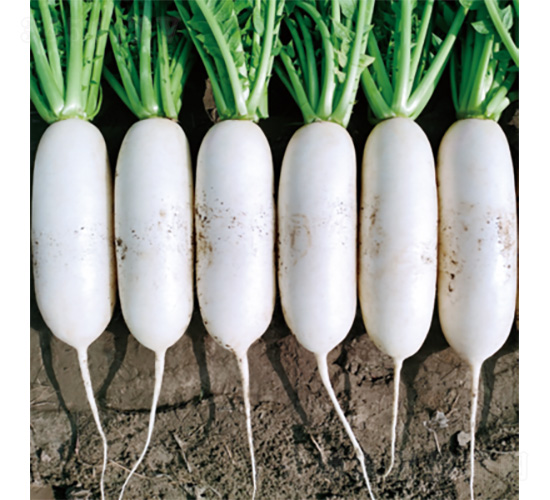 �������-�}���N��-�����N�I