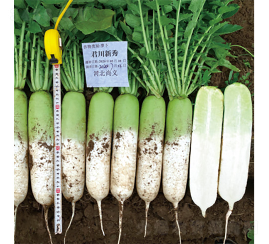 ��������-�}���N��-�����N�I