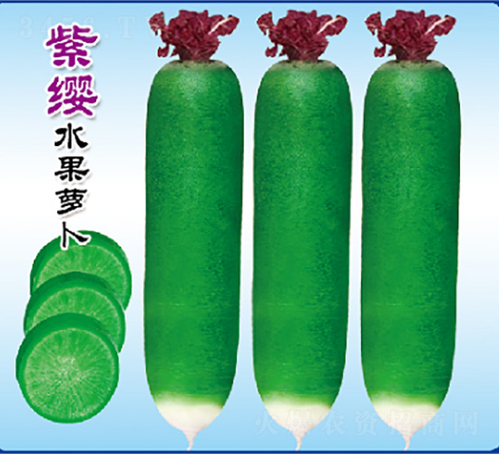 ����˯ɏ-�}���N��-�����N�I(y��)