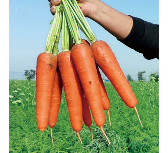 ����1̖-���}���N��-�����N�I