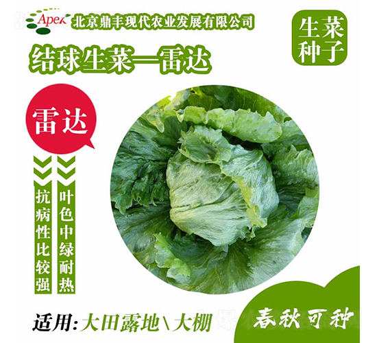 雷達(dá)-生菜種子-鼎豐農(nóng)業(yè)
