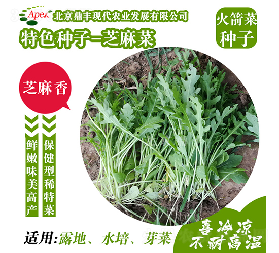 ֥���-����˷N��-���S�r(n��ng)�I(y��)