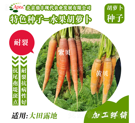 ˮ�����}��-���}���N��-���S�r�I