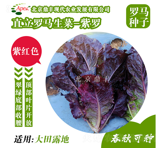 ���_-���˷N��-���S�r�I