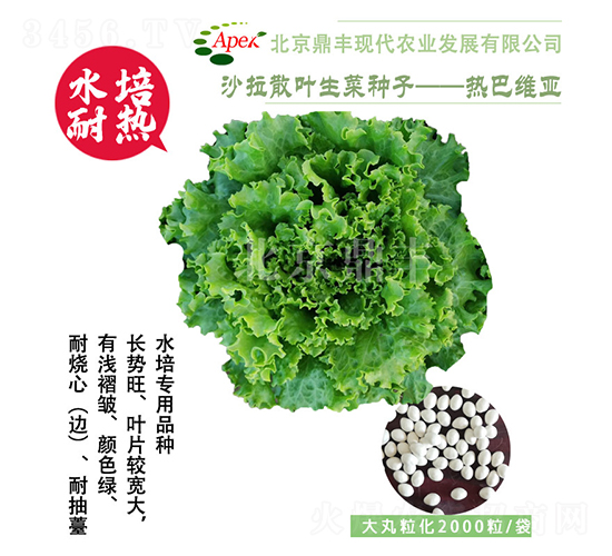 ��;S��-���˷N��-���S�r�I