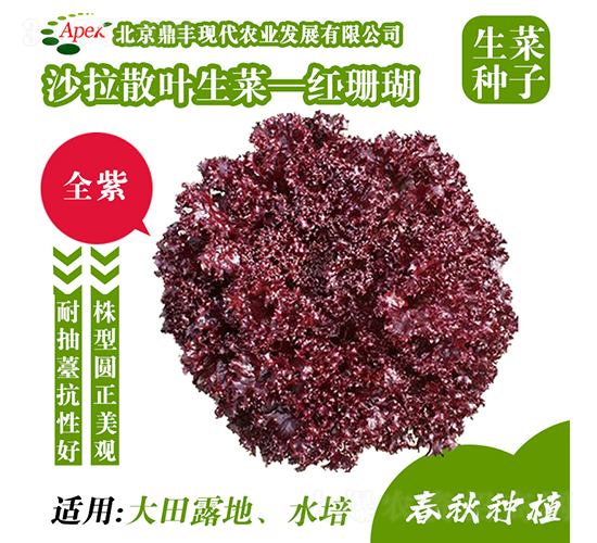 �tɺ��-���˷N��-���S�r�I