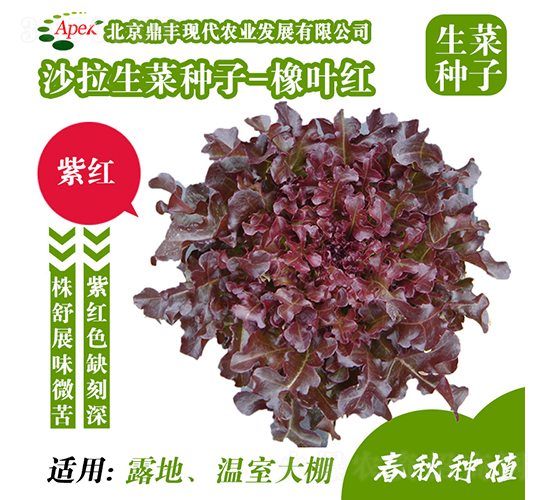 ���~�t-���˷N��-���S�r�I