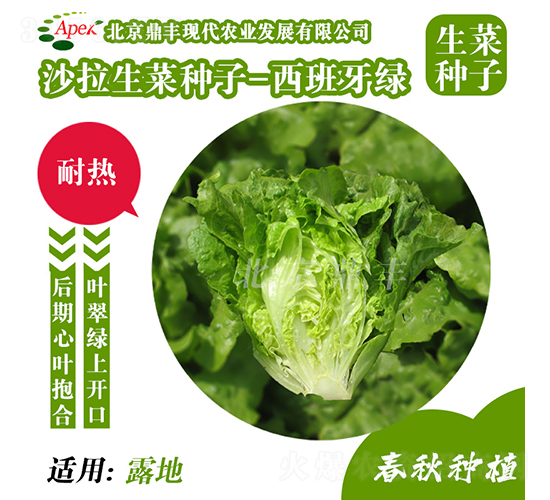 �������G-���˷N��-���S�r�I(y��)