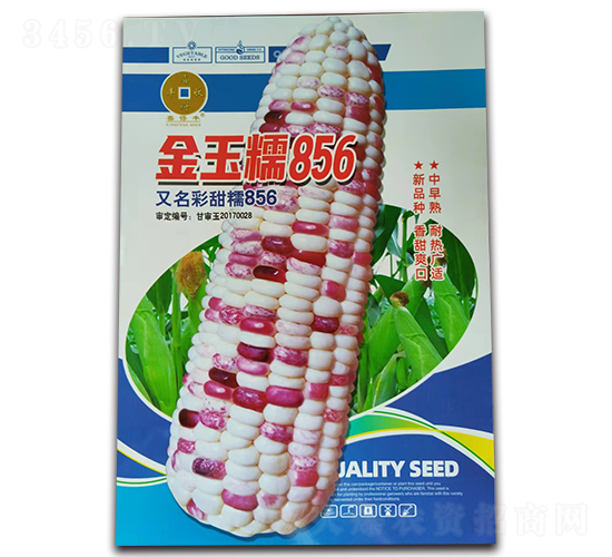 ����Ŵ856-���׷N��-�A��N�I