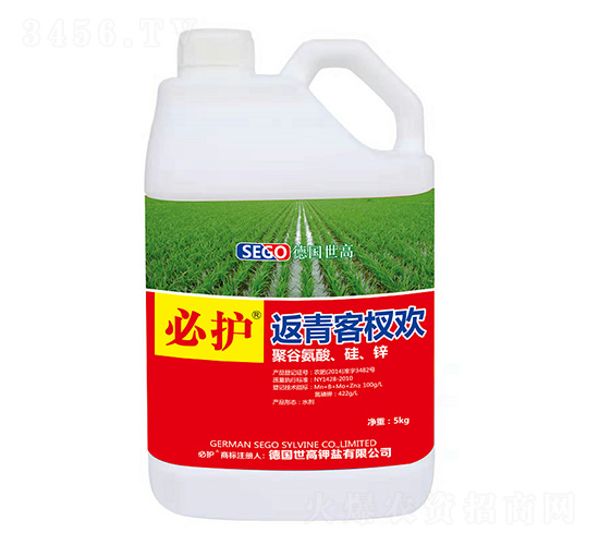 �����辚g-���o-����������