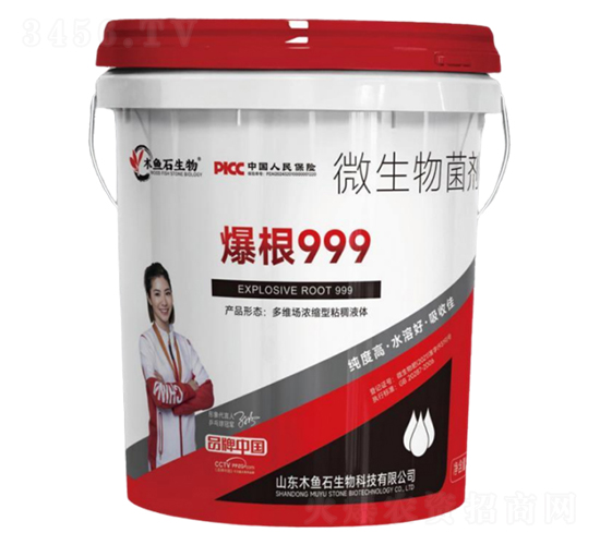 ����999-ľ�~ʯ