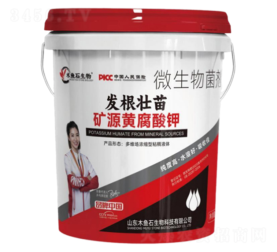 �l������VԴ�S�����-ľ�~ʯ