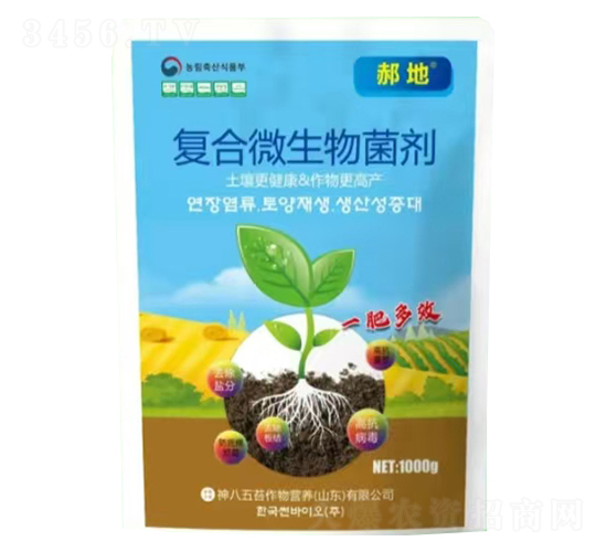 �ͺ�΢�������-�����̦