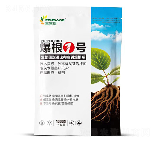 ����1̖(h��o)-�Sِ��