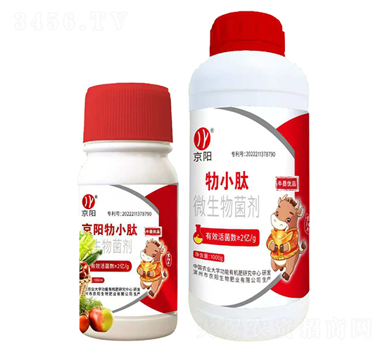 ��С��΢�������-���