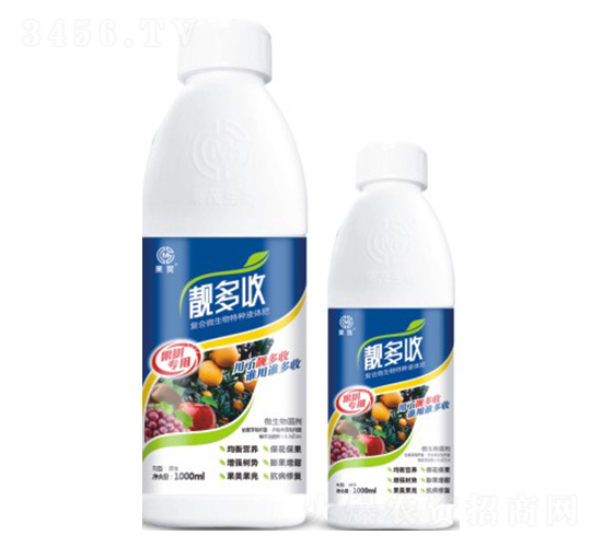 �n���ա����䌣�á�-��ï����