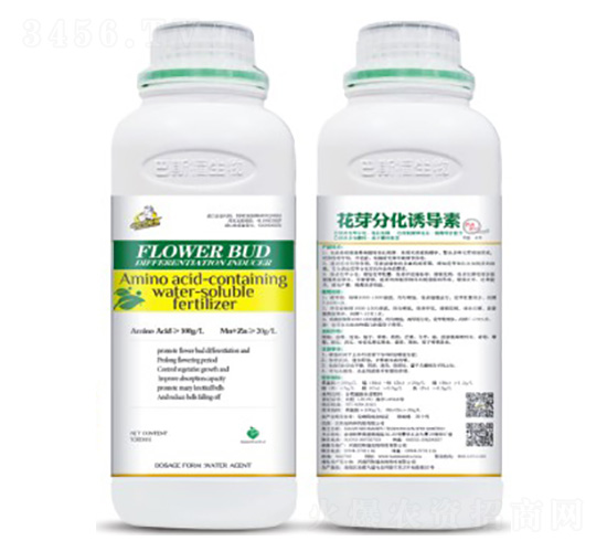 ��ѿ�ֻ��T����-��˹��