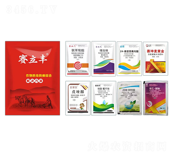 ������x�����C�Ͻ�Q����-ِ���S-ِ���r�I