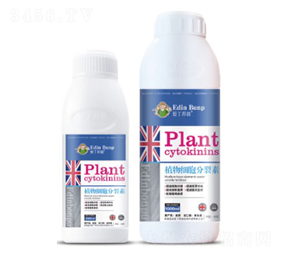 ֲ�：��������-�۶�����