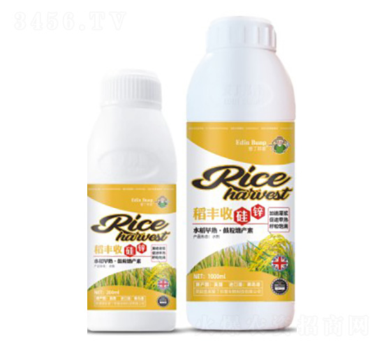 ���S�չ��\-�۶�����