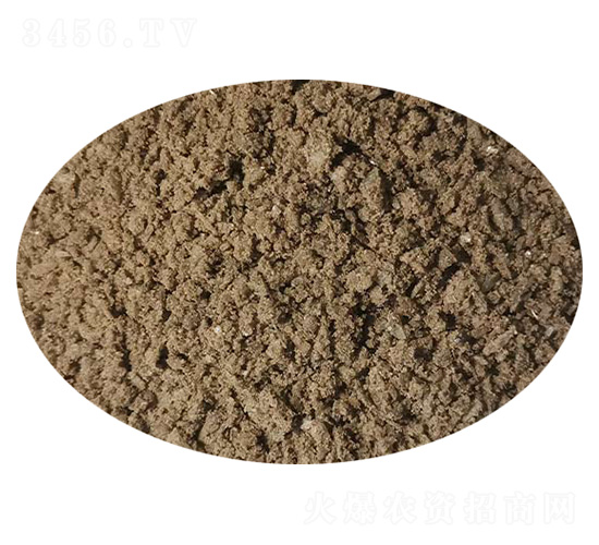 深海礦物質-硫酸鈣-中觀生物