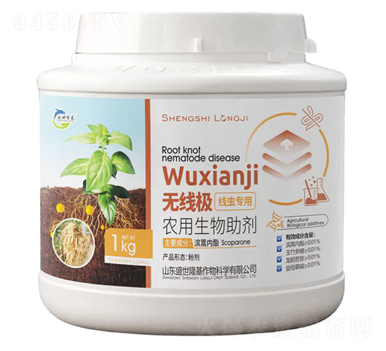 �o���O���x����-ʢ��¡��