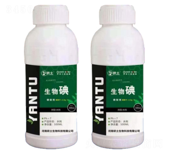 �����-��������