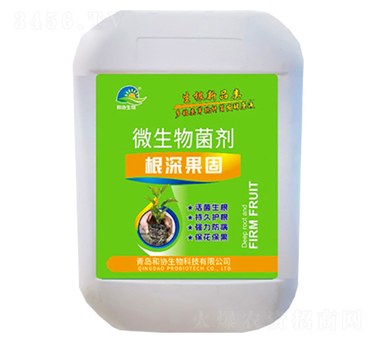 ΢�������-�������-�ͅf����