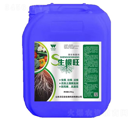 ������΢�������-�֠���