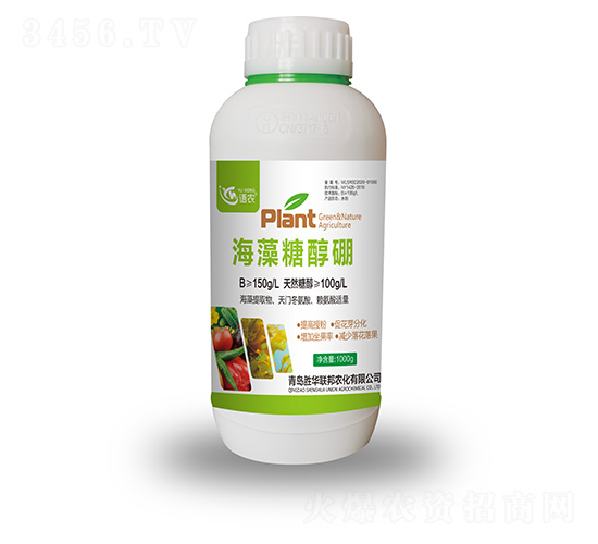 �����Ǵ���-�Z�r-���A��