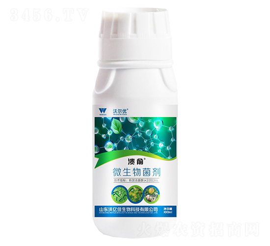 ����΢�������-�֠���