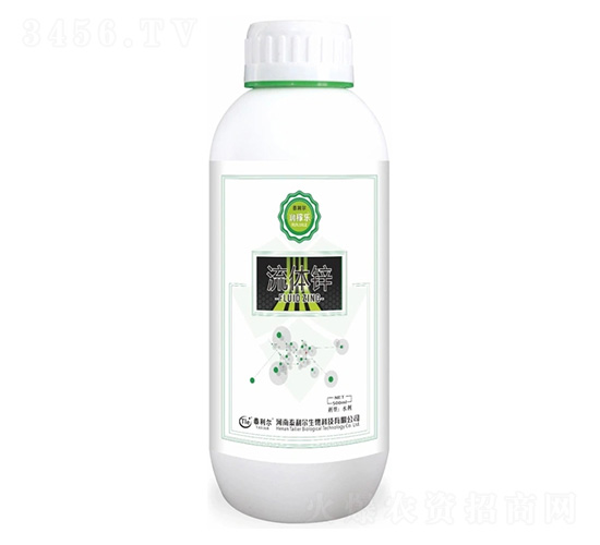 ���w�\-���ژ�--̩����