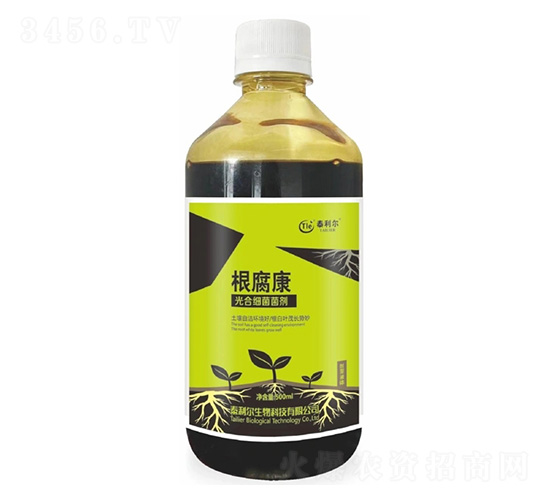 ��ϼ�������-������-̩����