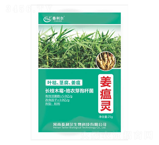 ΢�������-�����`-̩����