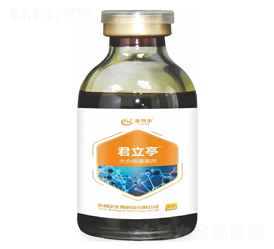 ��ϼ�������-����ͤ-̩����