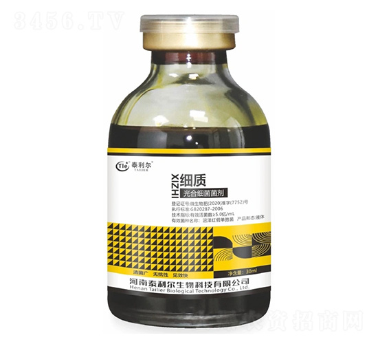 ��ϼ�������-���|-̩����