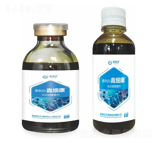 ��ϼ�������-�漚��-̩����